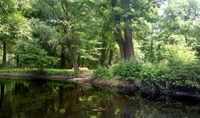Обои картинки фото санкт, петербург, елагин, остров, природа, парк, река, деревья
