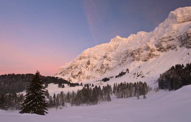 Обои картинки фото schwagalp, switzerland, природа, горы, швейцария, альпы, горный, перевал, alps, pass, снег, зима, ели