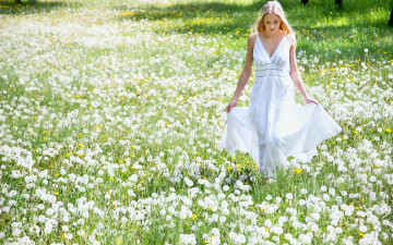 Картинка девушки -unsort+ блондинки девушка блондинка поле одуванчики цветы