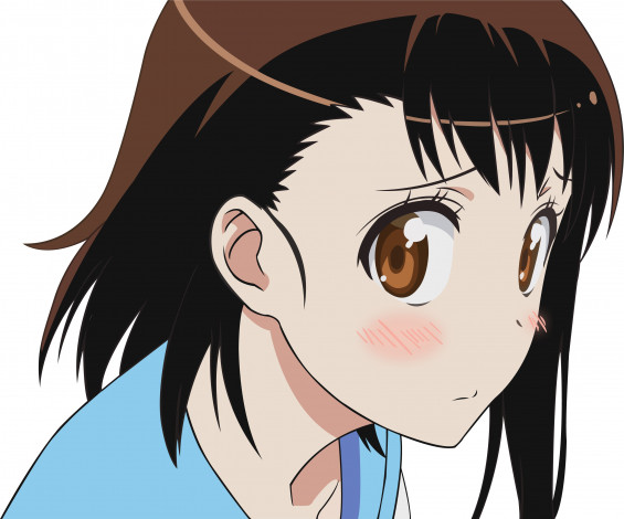 Обои картинки фото аниме, nisekoi, фон, взгляд, девушка, onodera, kosaki