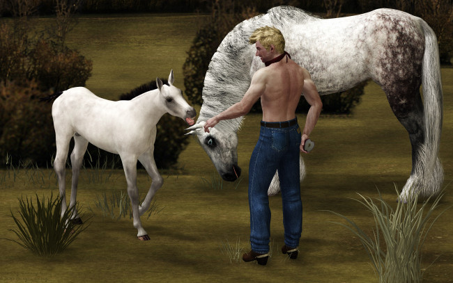 Обои картинки фото 3д графика, люди , people, лошади, фон, взгляд, мужчина