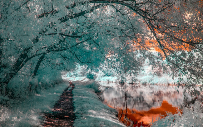 Обои картинки фото разное, компьютерный дизайн, цвет, природа, деревья, река