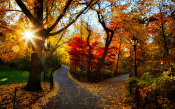 Картинка природа парк закат осень аллеи