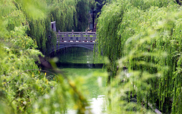 Картинка природа парк зелень мостик ручей