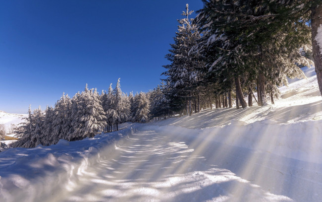 Обои картинки фото природа, зима, свет, снег, дорога, деревья