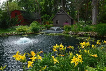 Картинка природа парк лилии фонтан водоем