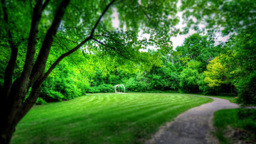 Картинка природа парк лужайка аллея деревья