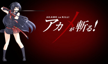 Картинка аниме akame+ga+kill фон взгляд девушка