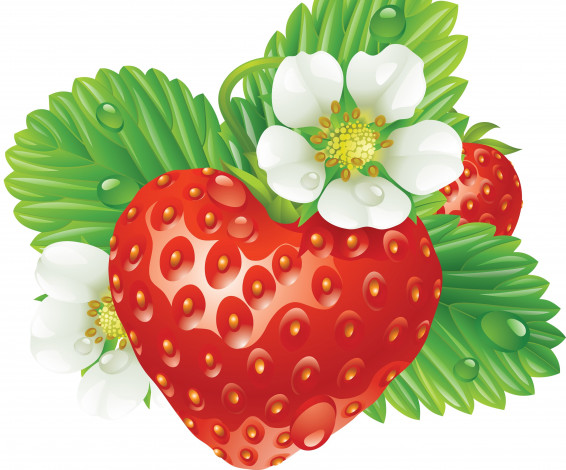 Обои картинки фото векторная графика, еда , food, клубника, ягода