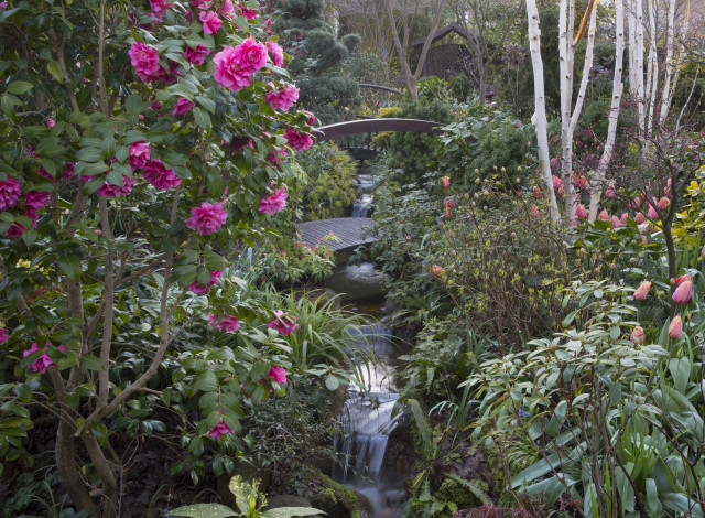 Обои картинки фото англия, природа, парк, цветы, куст, мост