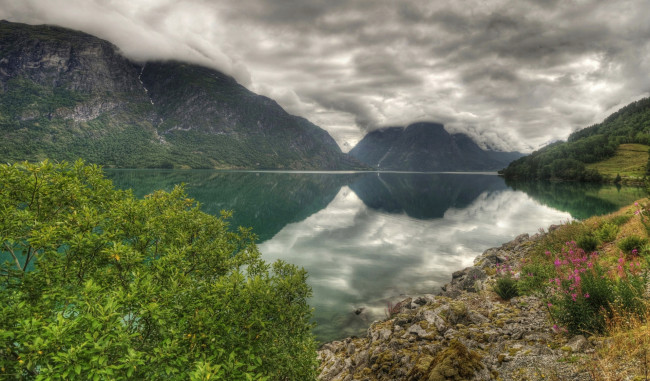 Обои картинки фото норвегия, природа, реки, озера, цветы, деревья, камни, облака, вершины, озеро