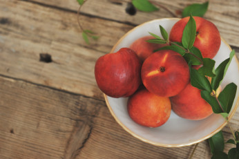 Картинка еда персики +сливы +абрикосы ветка тарелка