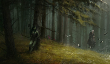 Картинка видео+игры the+witcher ведьмак всадник лес лук эльфийка