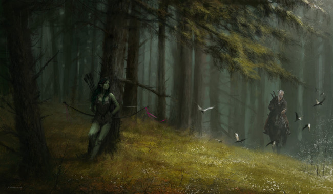 Обои картинки фото видео игры, the witcher, ведьмак, всадник, лес, лук, эльфийка