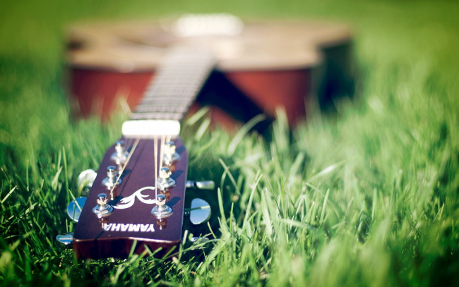 Обои картинки фото музыка, -музыкальные инструменты, трава, гитара