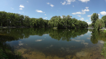 Картинка природа парк пруд лето