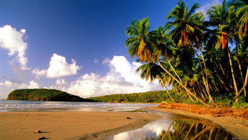 Картинка beach природа тропики океан остров пальмы пляж