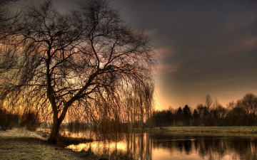 Картинка природа восходы закаты деревья река вечер