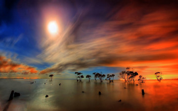 Картинка streaking sun природа восходы закаты деревья озеро багровые небеса облака