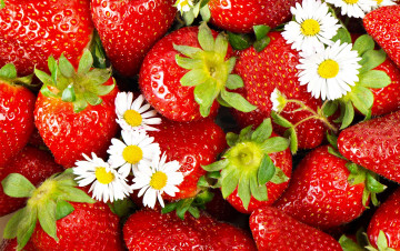 Картинка еда клубника земляника ромашки ягоды цветы