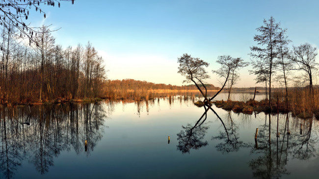 Обои картинки фото perfectly, still, lake, природа, реки, озера, отражение, озеро, деревья, тишина