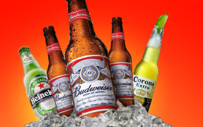 Обои картинки фото бренды, напитков, разное, капли, лед, пиво, бутылки