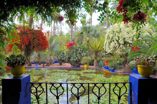 Обои картинки фото morocco, marrakech, jardin, majorelle, природа, парк, сад, бассейн, королевский