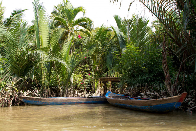 Обои картинки фото вьетнам, тьензянг, природа, тропики, река