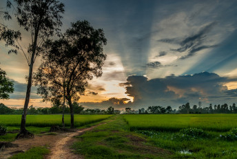Картинка вьетнам природа восходы закаты растения тропа деревья облака