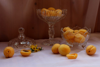Картинка еда персики +сливы +абрикосы лето натюрморт абрикосы фрукты