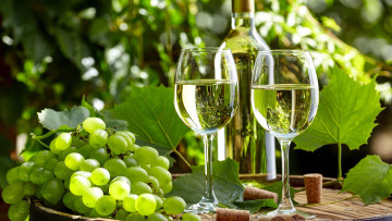 Картинка еда напитки +вино вино белое виноград бокалы