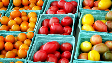 обоя еда, помидоры, много, томаты, разноцветные