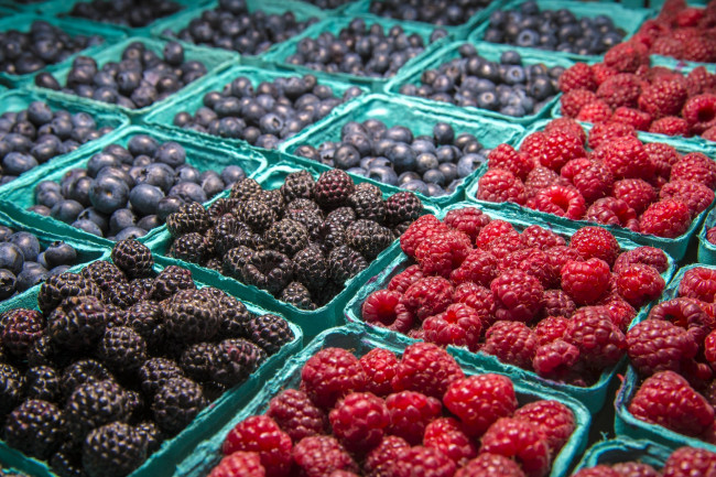 Обои картинки фото еда, фрукты,  ягоды, много, ягоды, черника, ежевика, малина
