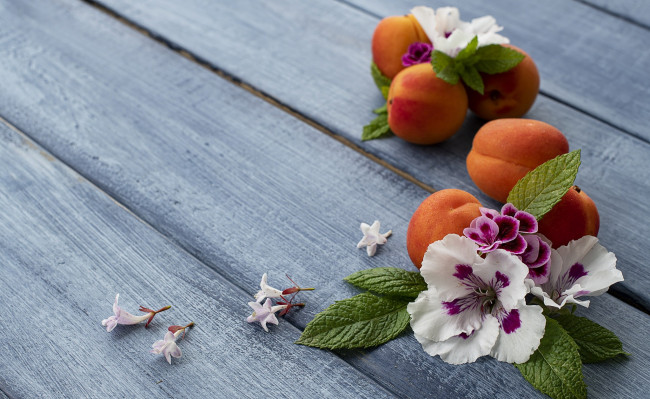Обои картинки фото еда, персики,  сливы,  абрикосы, абрикос, фон, голубой, цветы