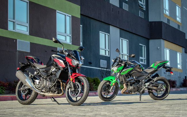 Обои картинки фото 2019 kawasaki z400, мотоциклы, kawasaki, японские, z400, парковка, 2019, два, мотоцикла