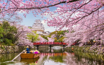 Картинка города токио+ япония весна вода деревья сакуры туризм водный путь