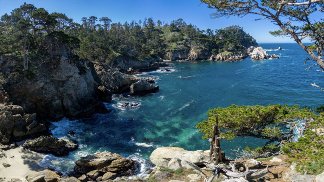 Обои картинки фото point lobos, south of monterey, california, природа, побережье, point, lobos, south, of, monterey