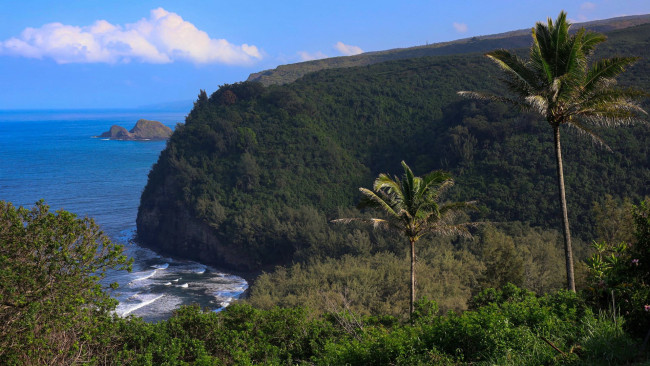 Обои картинки фото pololu valley, big island, hawaii, природа, побережье, pololu, valley, big, island