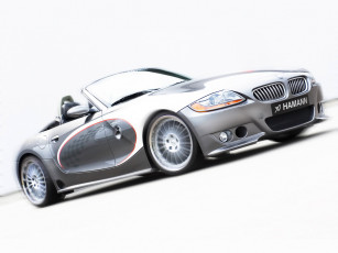 обоя 2007, hamann, bmw, z4, roadster, автомобили