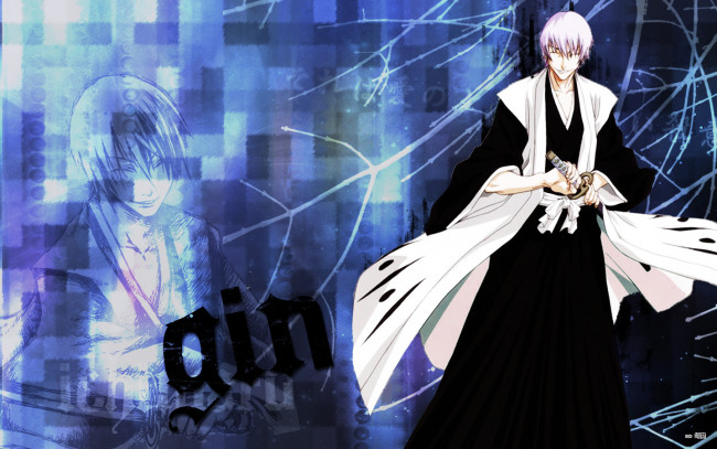 Обои картинки фото gin, аниме, bleach