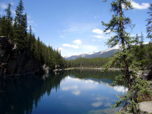 Картинка jasper national park природа реки озера озеро ель