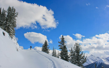Картинка banff national park природа зима снег лыжня ель