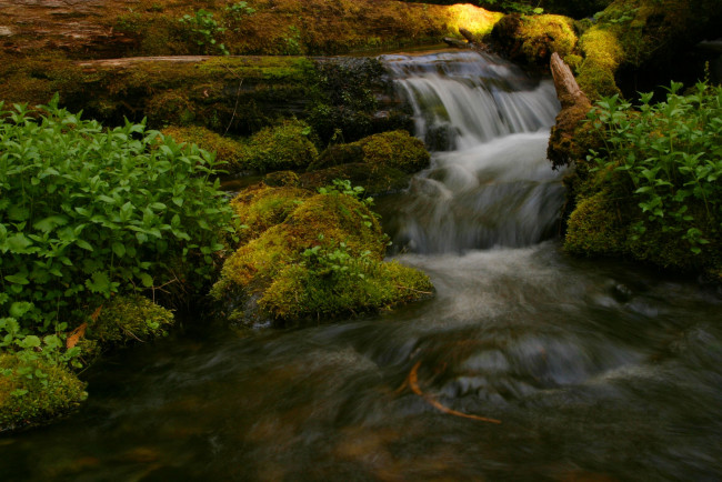 Обои картинки фото olympic, national, park, природа, реки, озера, ручей