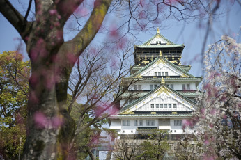 Картинка осака города замки Японии пагода сакура