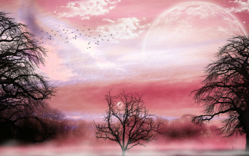 Картинка 3д графика atmosphere mood атмосфера настроения планета облака туман лес птицы