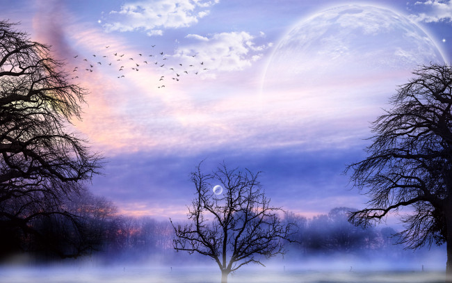 Обои картинки фото 3д, графика, atmosphere, mood, атмосфера, настроения, планета, лес, туман, облака, птицы