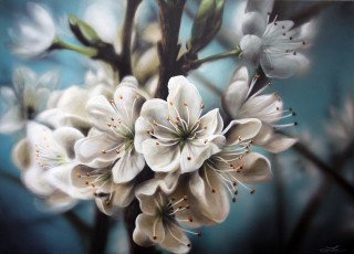 Картинка рисованные цветы яблоня цветение природа цветочки веточки белые