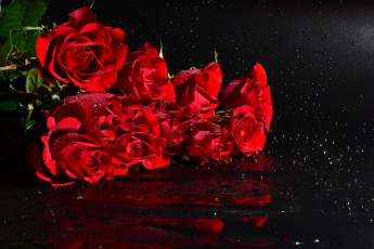 Картинка цветы розы вода охапка