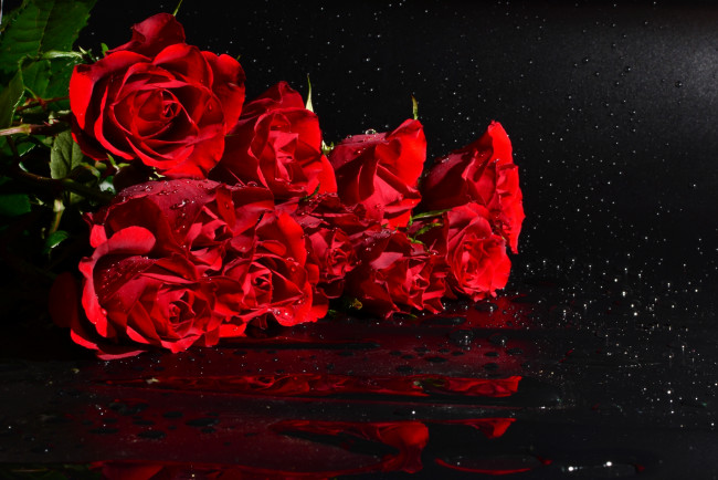 Обои картинки фото цветы, розы, вода, охапка