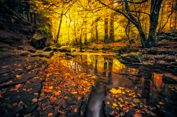 Картинка природа реки озера лес осень река